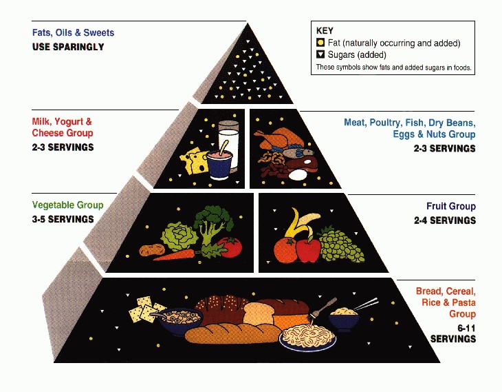 USDA zastaralá potravinová pyramida