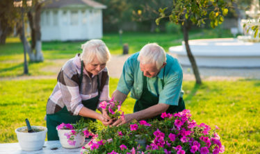 Zahradničení v seniorním věku: dvojice při společném zahradničení